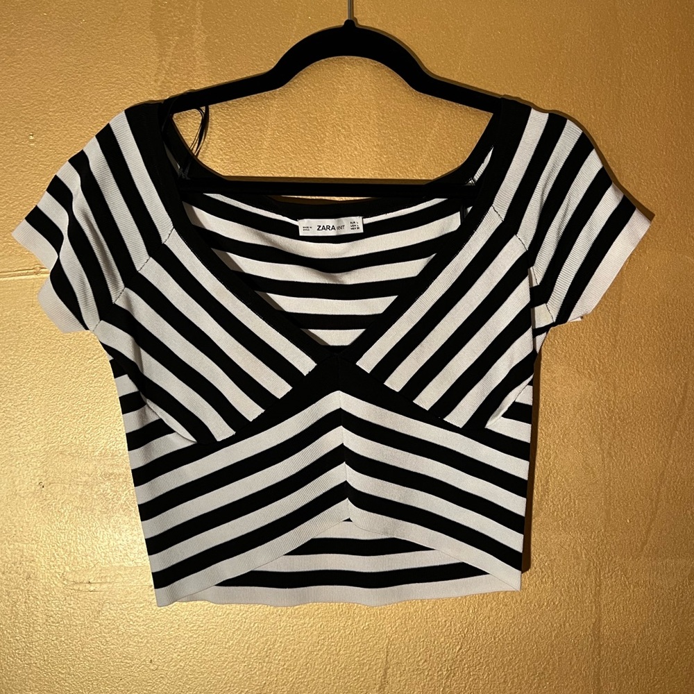 Zara Striped Crop Top